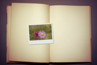 Illustration embeds - Image 1