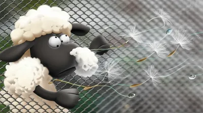 Illustration screens - Image 1