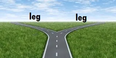 Illustration leg - Image 2