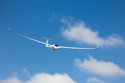 Illustration crabbed - Image 1