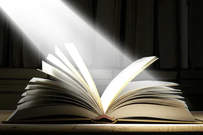 Illustration upfront - Image 1