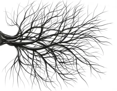 Illustration spidery