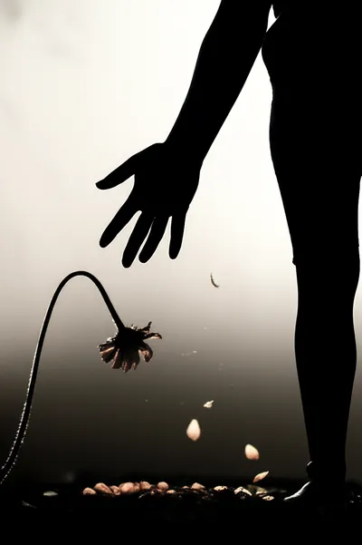 Illustration eliminates - Image 1