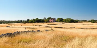 Illustration labour - Image 1