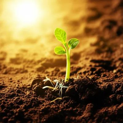 Illustration initialisations