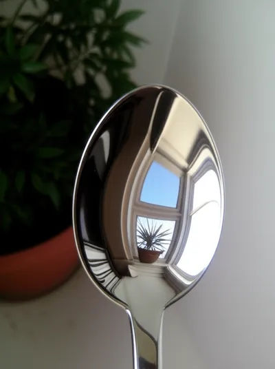 Illustration reflex - Image 1