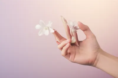 Illustration claw - Image 1