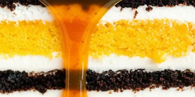 Illustration rich - Image 1