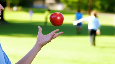 Illustration lob - Image 1