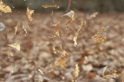 Illustration rustle - Image 1