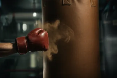 Illustration leathers - Image 1