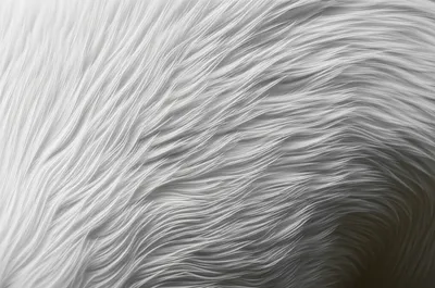 Illustration ghost - Image 1