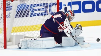 Illustration goaltender