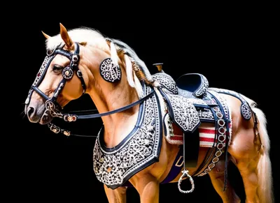 Illustration trapped - Image 1