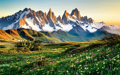 Illustration grander - Image 1