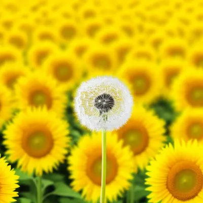 Illustration heresy - Image 1