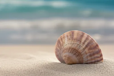 Illustration china - Image 1