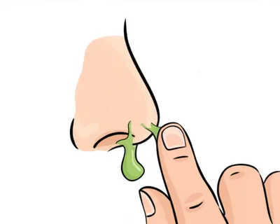 Illustration bogy - Image 1