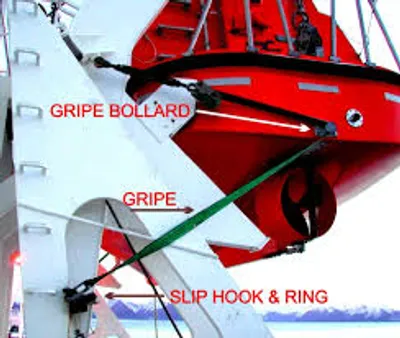 Illustration gripe - Image 2