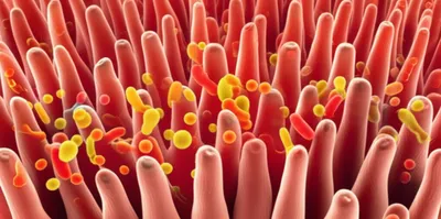 Illustration uptake - Image 1