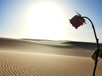 Illustration only - Image 1