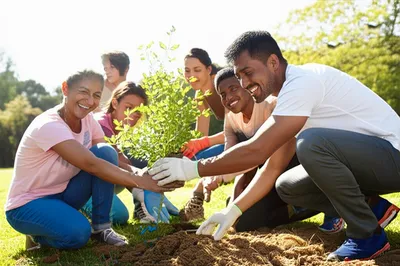 Illustration volunteering - Image 1