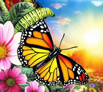 Illustration reformed - Image 1