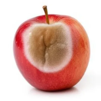 Illustration taint - Image 1