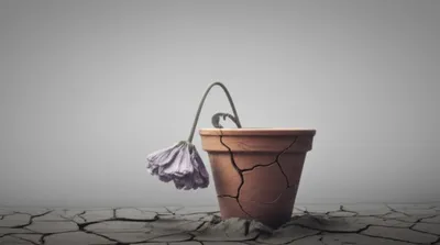 Illustration spiritless