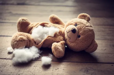 Illustration stuffed - Image 1