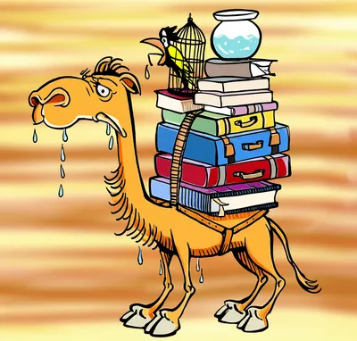 Illustration humped - Image 1