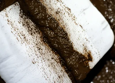 Illustration mucks - Image 1