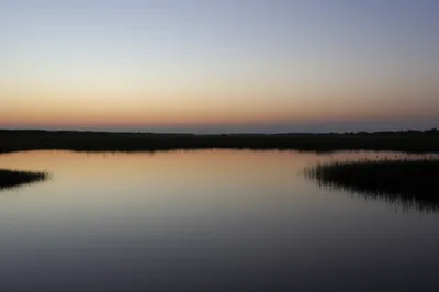 Illustration quiet - Image 1