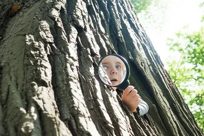 Illustration ax - Image 1