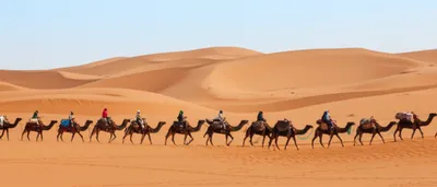 Illustration caravans - Image 1