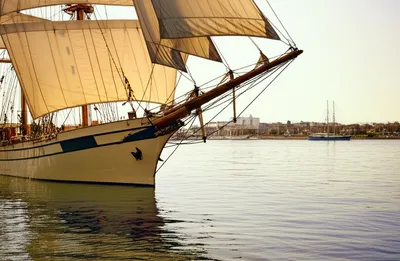 Illustration weighing - Image 1