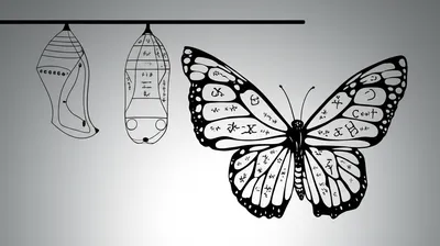 Illustration develop - Image 1