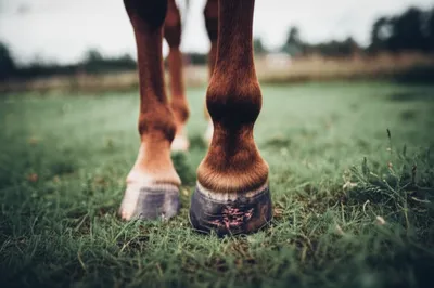 Illustration treads - Image 1