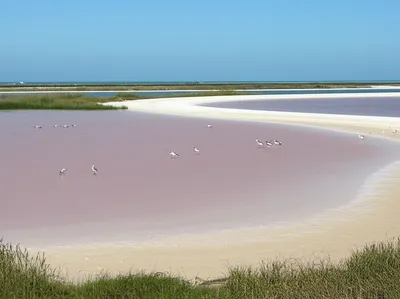 Illustration salina - Image 1