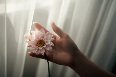 Illustration caresses - Image 1