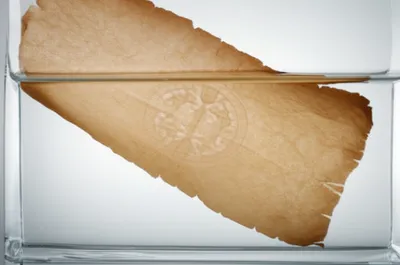 Illustration watermark - Image 1