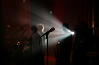 Illustration feature - Image 1