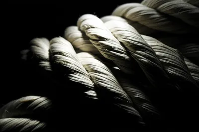 Illustration define - Image 1