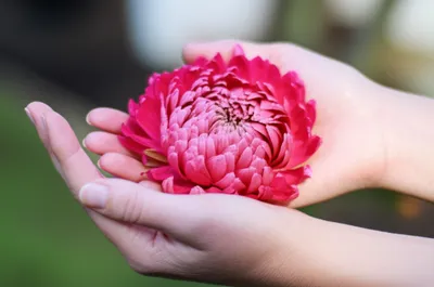 Illustration handle - Image 1