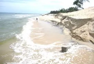 Illustration transgress - Image 3