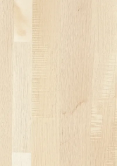 Illustration birchwood - Image 1