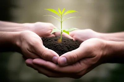 Illustration humanitarian - Image 1