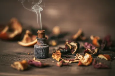 Illustration mures - Image 1