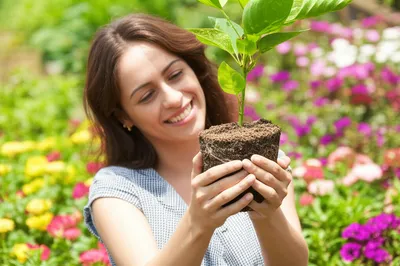 Illustration rewarding - Image 1