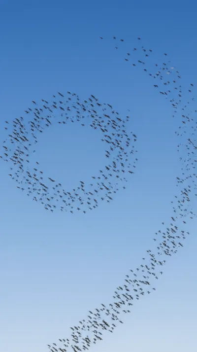 Illustration ring - Image 1